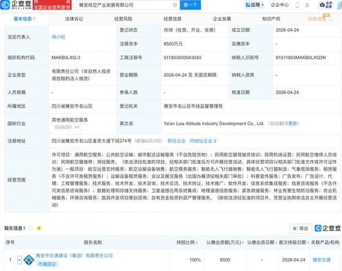 雅安低空产业发展公司成立 布局航空、卫星与信息系统集成新赛道